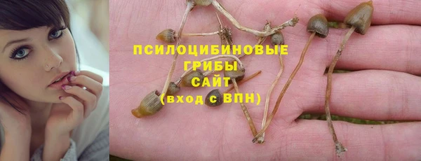 apvp Медногорск