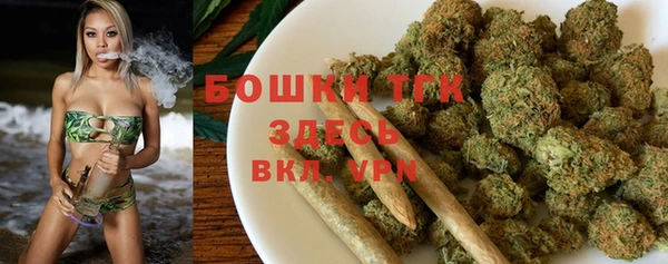 apvp Медногорск