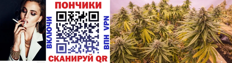 магазин продажи   Жирновск  Марихуана Bruce Banner 